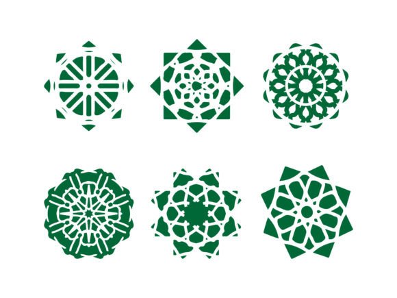 A Set of Flower with Vector
