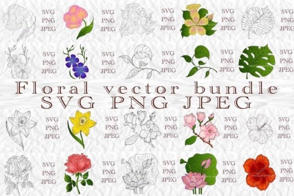 Floral Vector Bundle: A Designer’s Real-World Embroidery Review