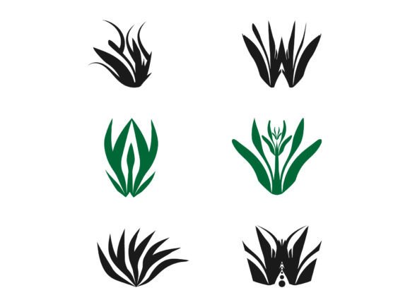 Flower Design with Vector: A Designer’s Real-World Embroidery Review